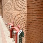 Enchape Cauquenes Corto - Imagen 2