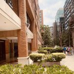 Enchape Cauquenes Corto - Imagen 3