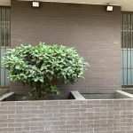 Enchape Fábrica Café Moro - Imagen 2